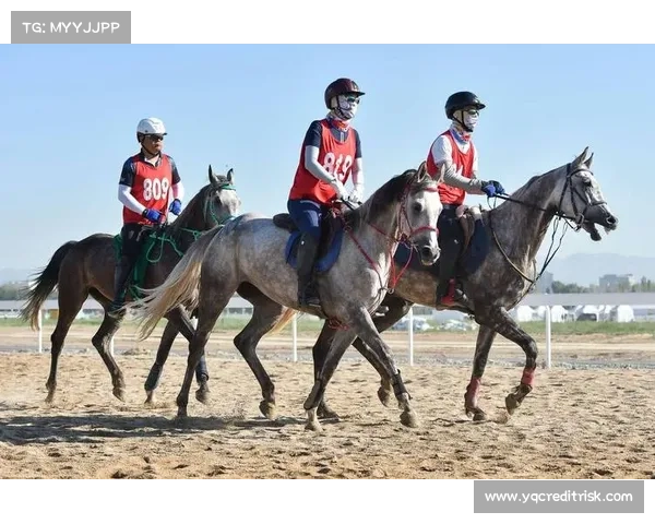 全国青少年马术精英赛激情奔腾梦想飞扬青春荣耀绽放盛会