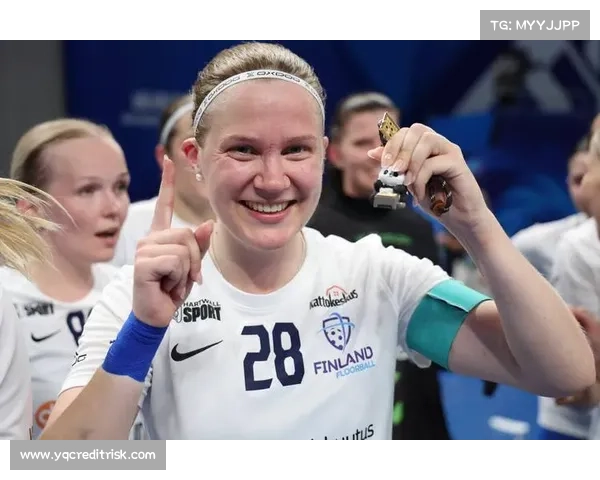 芬兰体育赛事—芬兰杯ds